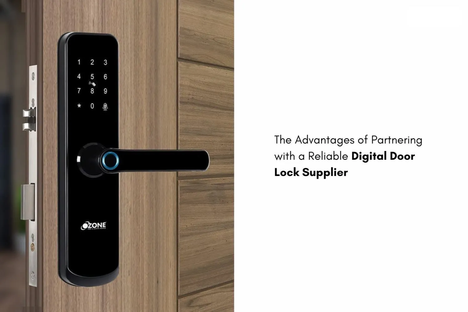 The Advantages of Partnering with a Reliable Digital Door Lock Supplier