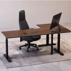 Triple Leg Mechanism