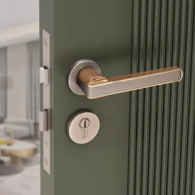 Mortise Door Handles