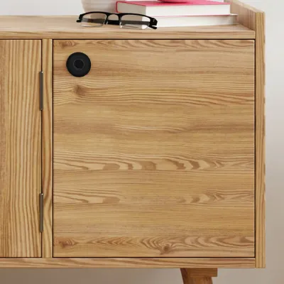 Fingerprint Furniture Locks