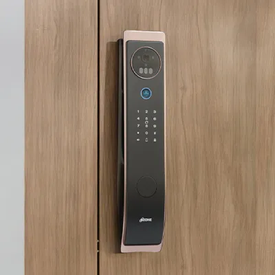 Face-Palm Recognition Door Locks