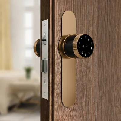 Fingerprint Internal Door Locks