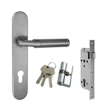 Contractor Series- Door Pull Handle with Mortise Combi Set | Ozone