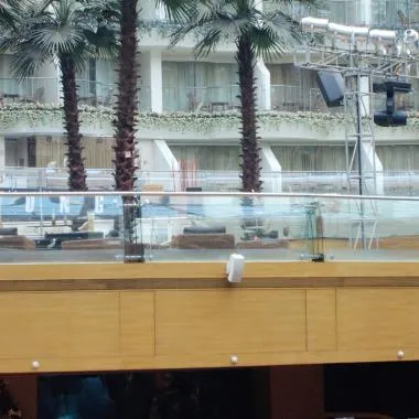 Atrium Railings | Ozone