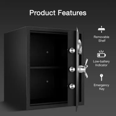 Fort safe AB Bio -66 Black