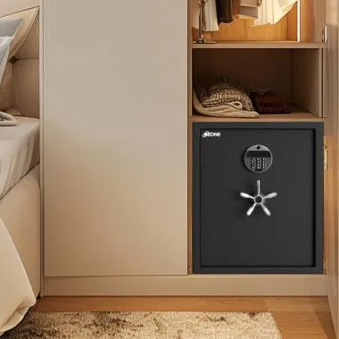 Fort safe AB Bio -66 Black