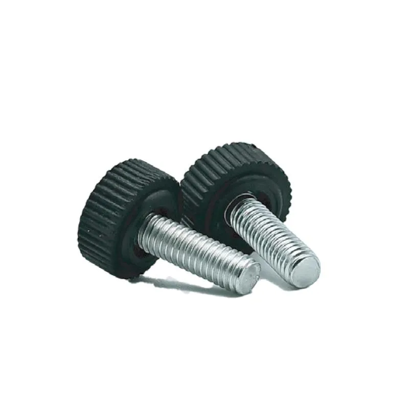 Plinth Screw