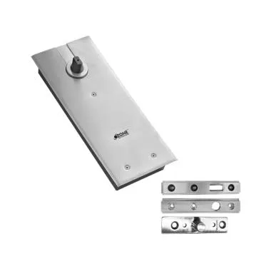 Top & Bottom Pivot Set with Double Cyliner Floor Spring